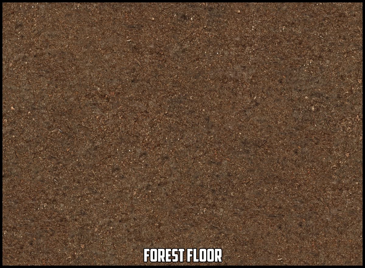 texture-forest-floor-example.jpg