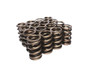 Hi-Tech 1.565 Dual Valve Springs-.810 ID. Pacaloy