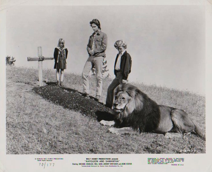 Napoleon And Samantha Movie 1972 PROMO 8" X 10" B&W Glossy Picture Photo, 81B-423, Johnny Whitaker, Walt Disney Productions
