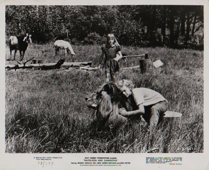 Napoleon And Samantha Movie 1972 PROMO 8" X 10" B&W Glossy Picture Photo, 81B-647C, Johnny Whitaker, Walt Disney Productions

