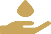 Lyres Branding Image