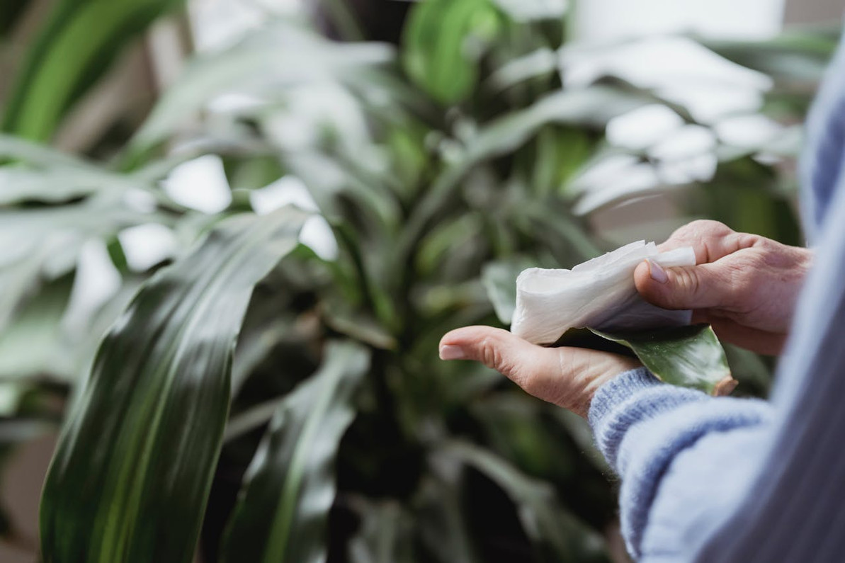 Cleaning Wipes for Hands: The Ultimate Solution by Wipes.com