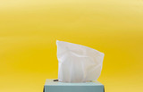 Wet Wipes Dispenser: Convenient and Hygienic Solution for On-the-Go Cleansing