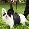 Black Dog Hoist Harness