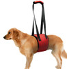 Red Dog Hoist Harness