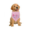 Pink Birthday Girl Dog Bandana