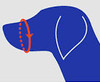 Blue Soft Dog Muzzle