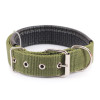 Green Nylon Buckle Dog Collar