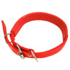 Red Nylon Buckle Dog Collar