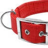 Red Nylon Buckle Dog Collar