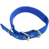 Blue Nylon Buckle Dog Collar