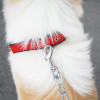 Red & Black Nylon Buckle Dog Collar