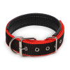 Black & Red Nylon Buckle Dog Collar