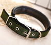 Green & Black Nylon Buckle Dog Collar