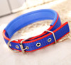 Blue & Red Nylon Buckle Dog Collar