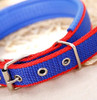 Blue & Red Nylon Buckle Dog Collar