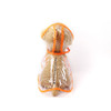 Orange Transparent Dog Rain Coat