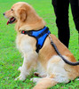 Blue Heavy Duty Dog Harness