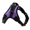 Purple Heavy Duty Dog Harness