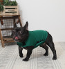 Green Anti Anxiety Dog Vest