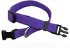 Purple Nylon Dog Clip Collar