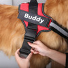 Red Personalised Name Dog Vest Harness