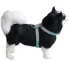 Blue Rhinestone Dog Harness