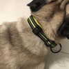 Neon Yellow Padded Mesh Reflective Dog Collar