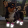 Pink Silver Reflective Dog Boots