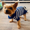 Blue Panda Soft Knitted Dog Jumper