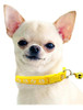 Small Yellow Pawprint Nylon Dog Collar & Lead Set