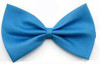 Turquoise Dog Dicky Bow Tie