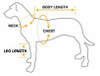 Small Orange Pawprint Nylon Dog Harness & Lead Set