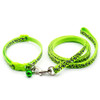 Small Green Leopard Print Nylon Dog Collar & Lead Set