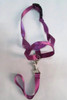 Purple Dog Head Collar [Size M]