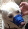 Blue Mesh Dog Muzzle [Size XXL]