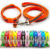 Small Orange Reflective Nylon Dog Collar & Lead Set