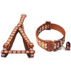 Small Brown Pawprint Nylon Dog Collar & Harness Set