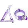 Small Light Purple Pawprint Nylon Dog Collar & Harness Set