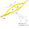 Small Orange Pawprint Nylon Dog Collar & Harness Set