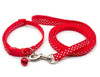 Small Red Spotty Nylon Dog Collar & Lead Set