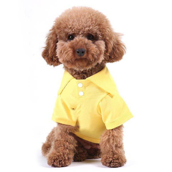 polo dog jacket