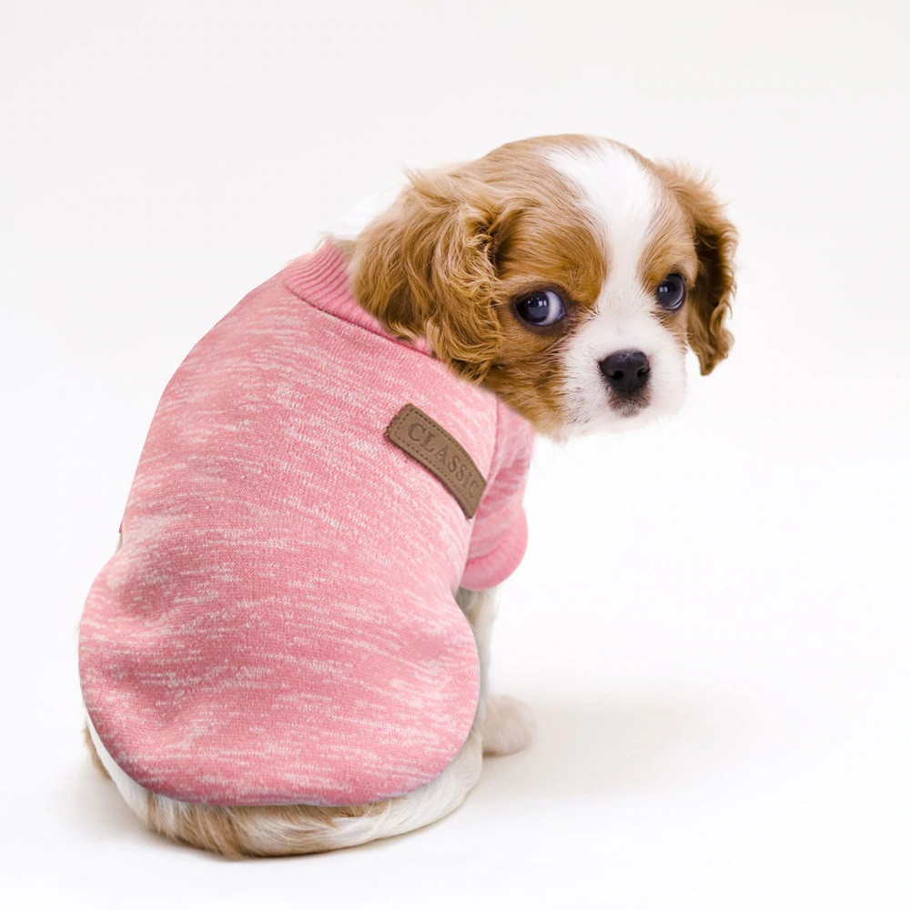 pink dog jumper