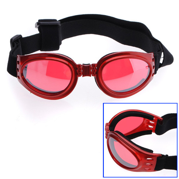red dog sunglasses