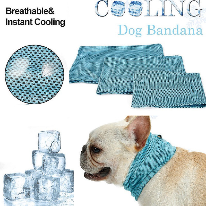 dog neck cooler