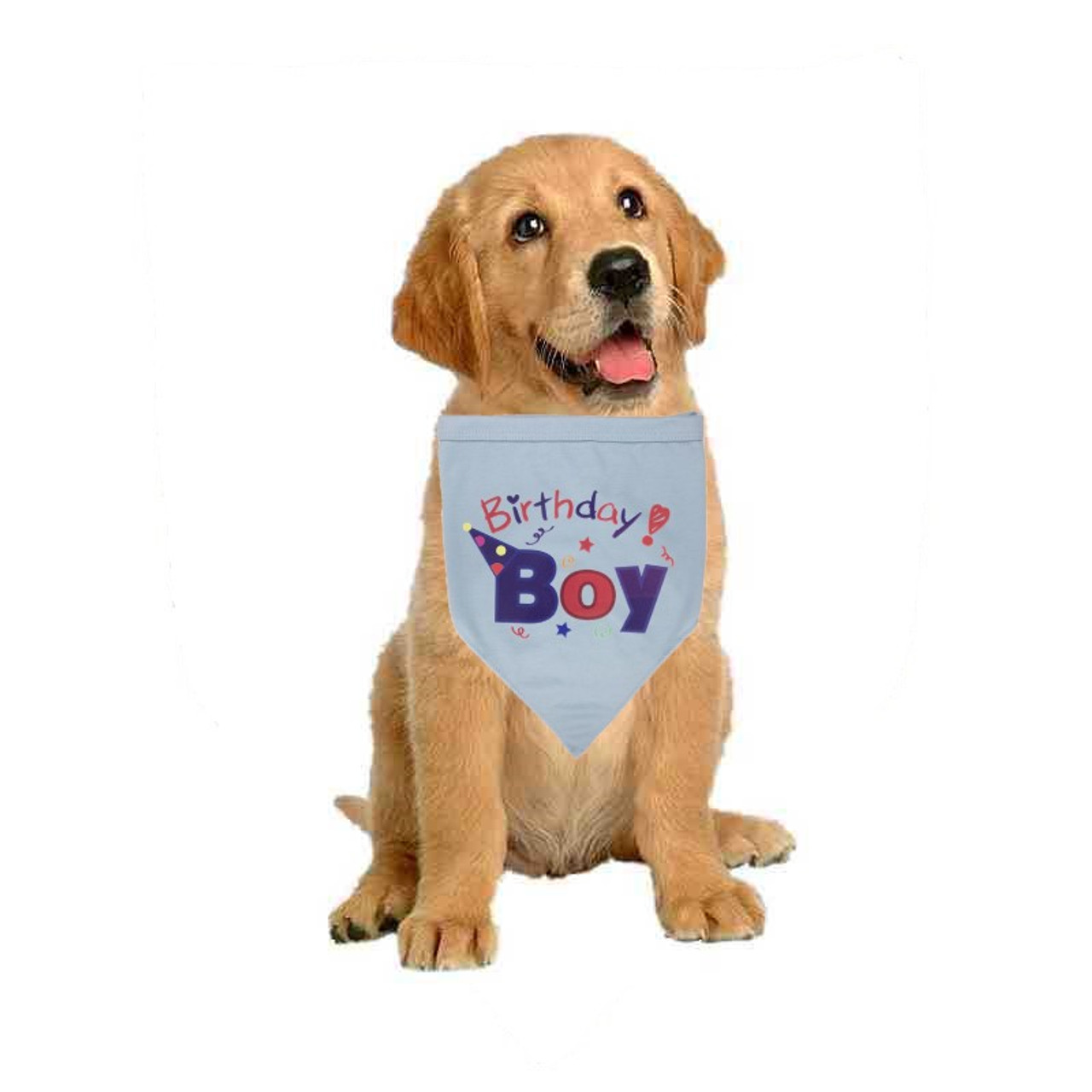 birthday boy dog bandana