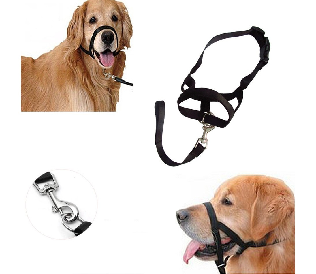Black Dog Head Collar Doggie Style Store