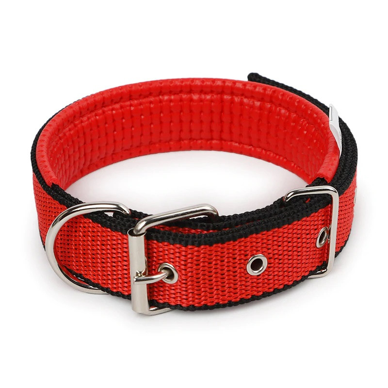 black nylon dog collar