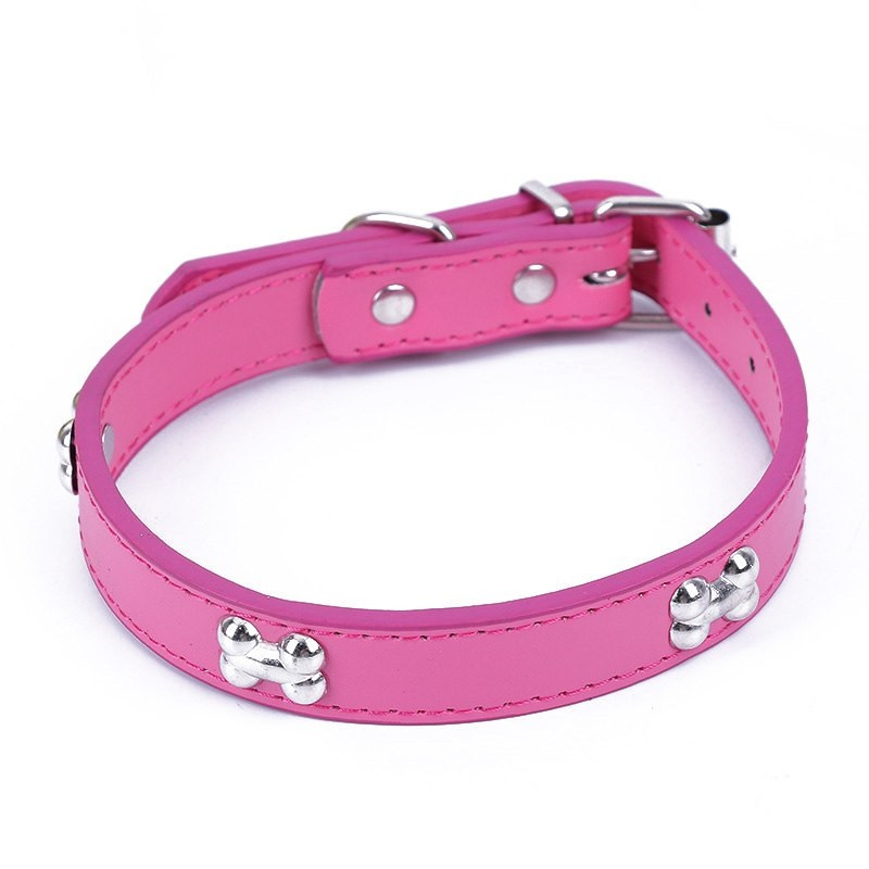 dog collar with bones