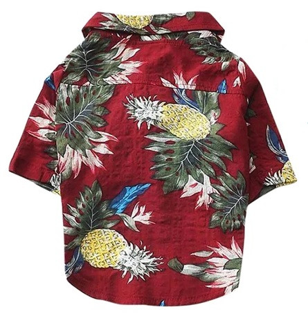 pineapple dog shirt